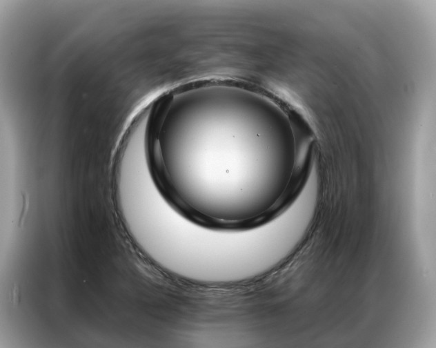X0000087371316200704271448
