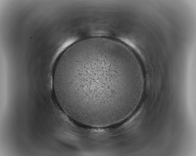 X0000087371317200704271448