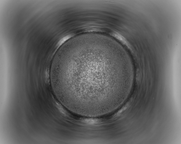 X0000087371321200704271448