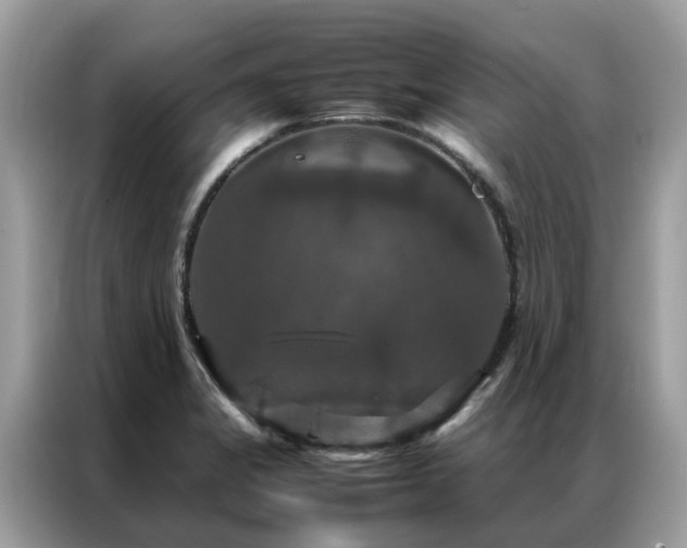 X0000087371325200704271448