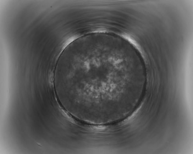 X0000087371329200704271448
