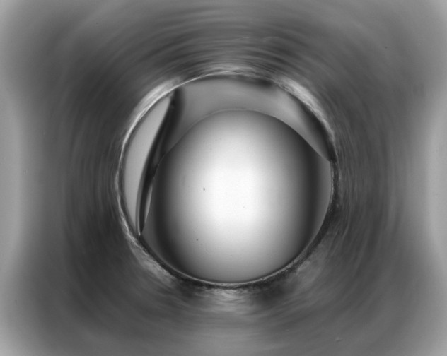 X0000087371330200704271448