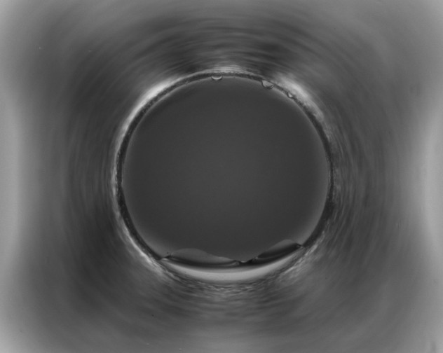 X0000087371331200704271448