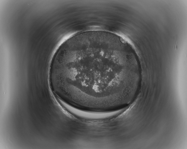 X0000087371333200704271448
