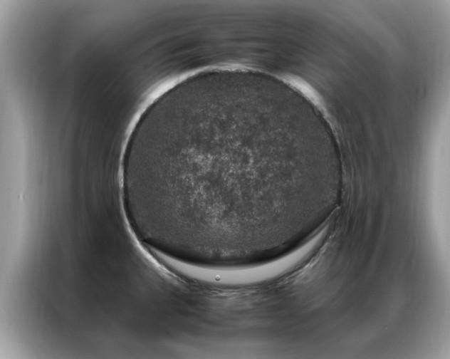 X0000087371335200704271448