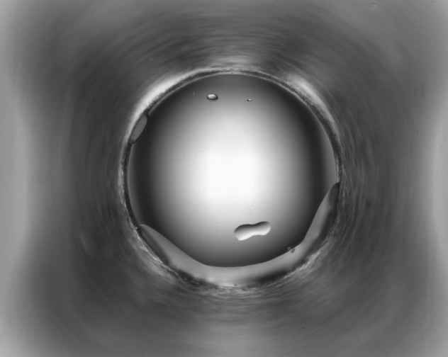 X0000087371336200704271448