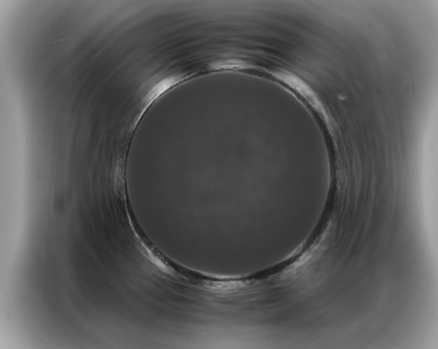 X0000087371337200704271448
