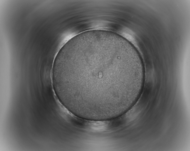 X0000087371338200704271448