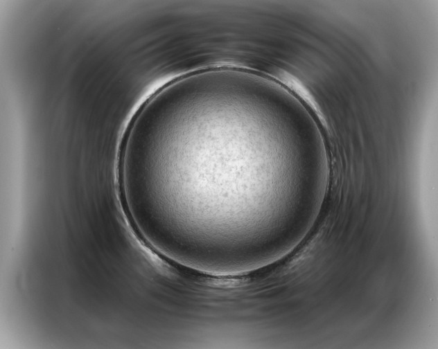 X0000087371339200704271448