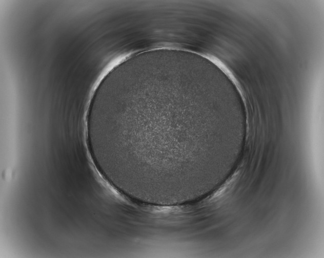 X0000087371341200704271448