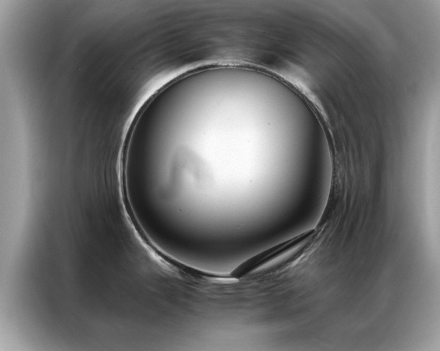 X0000087371343200704271448