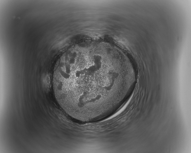 X0000087371347200704271448