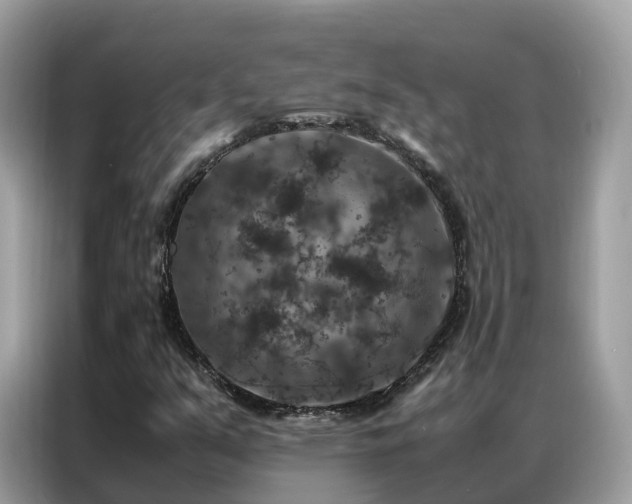 X0000087371351200704271447
