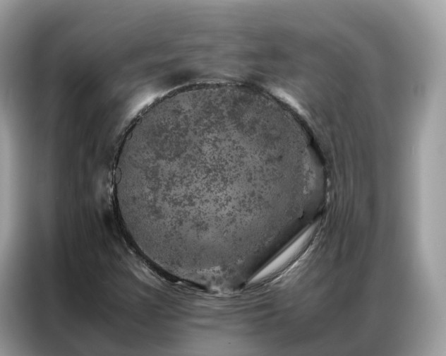X0000087371355200704271447