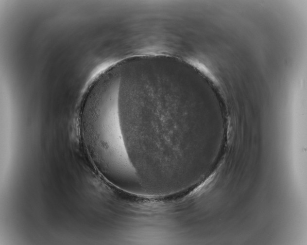 X0000087371358200704271447
