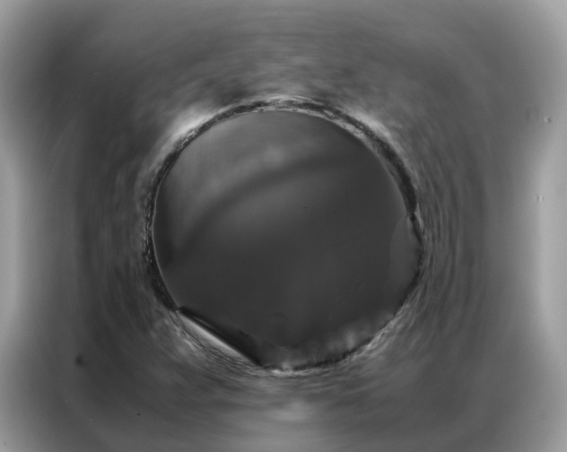 X0000087371359200704271447