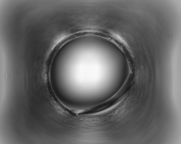 X0000087371360200704271447