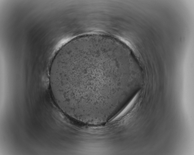 X0000087371363200704271447