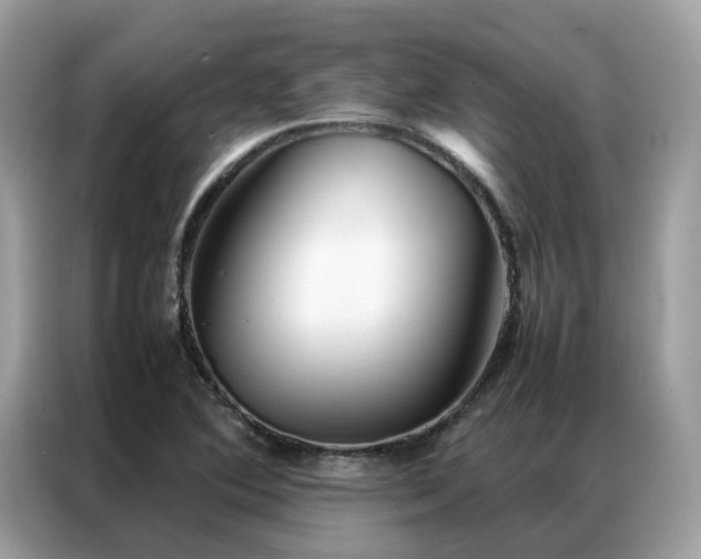 X0000087371364200704271447