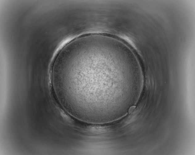 X0000087371366200704271447