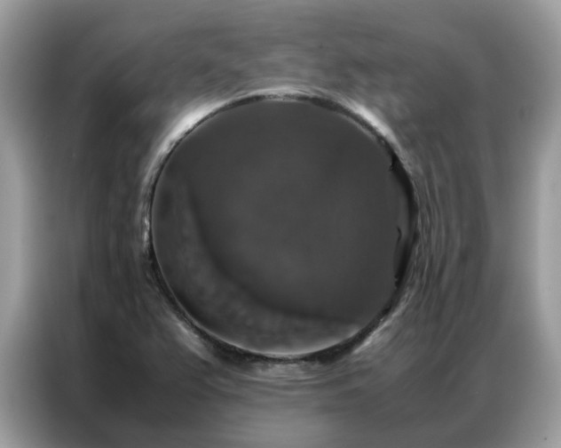 X0000087371367200704271447