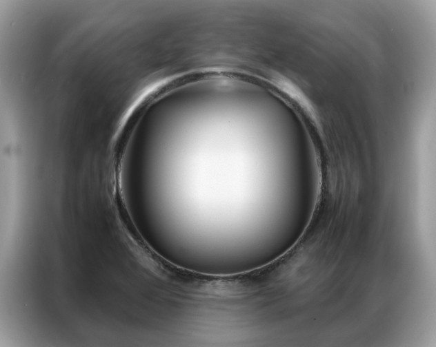X0000087371368200704271447