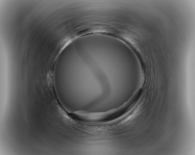 X0000087371369200704271447