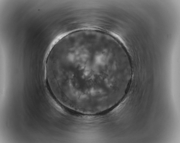 X0000087371371200704271447