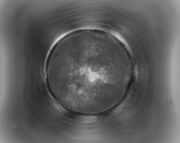 X0000087371372200704271447