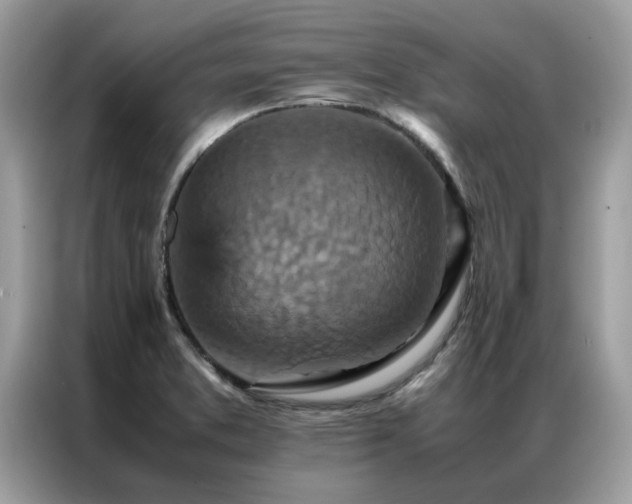 X0000087371373200704271447