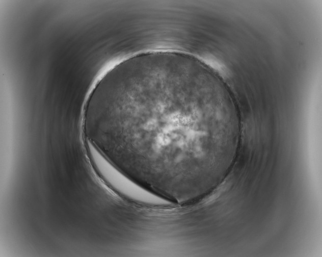 X0000087371374200704271447