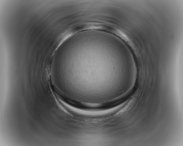 X0000087371377200704271447