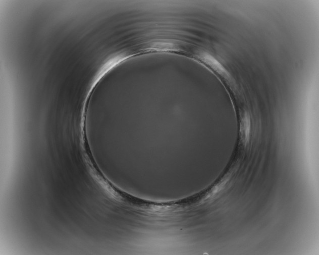 X0000087371378200704271447