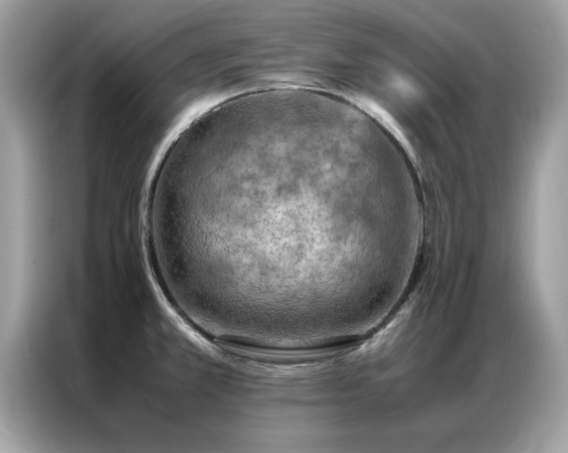 X0000087371381200704271447