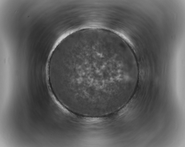 X0000087371382200704271447