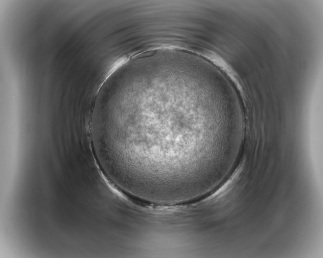 X0000087371385200704271447