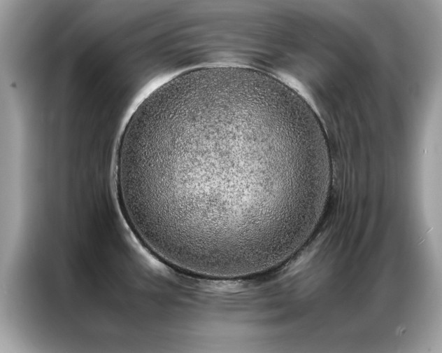 X0000087371387200704271447