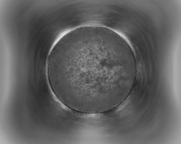 X0000087371390200704271447