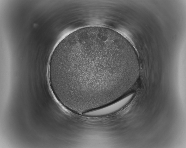 X0000087371391200704271447
