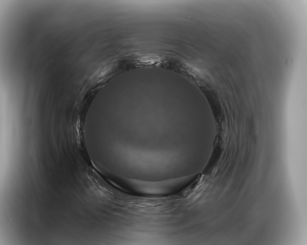 X0000087371394200704271446