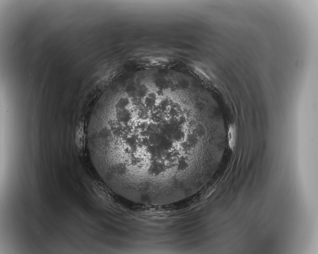 X0000087371395200704271446