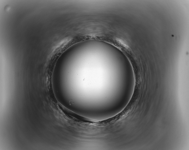 X0000087371398200704271447