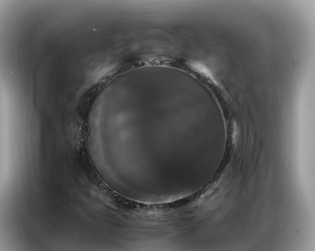 X0000087371399200704271447
