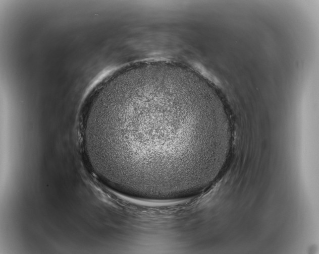 X0000087371400200704271447