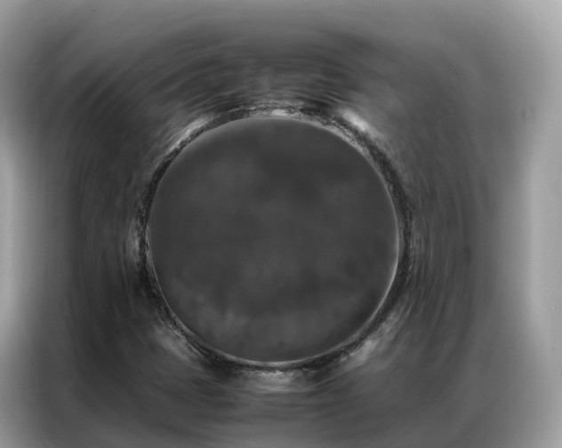 X0000087371401200704271447