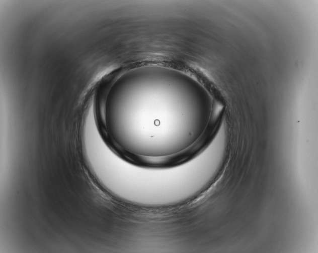 X0000087371402200704271447