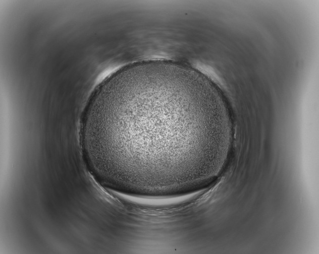 X0000087371404200704271447
