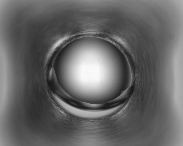 X0000087371406200704271447