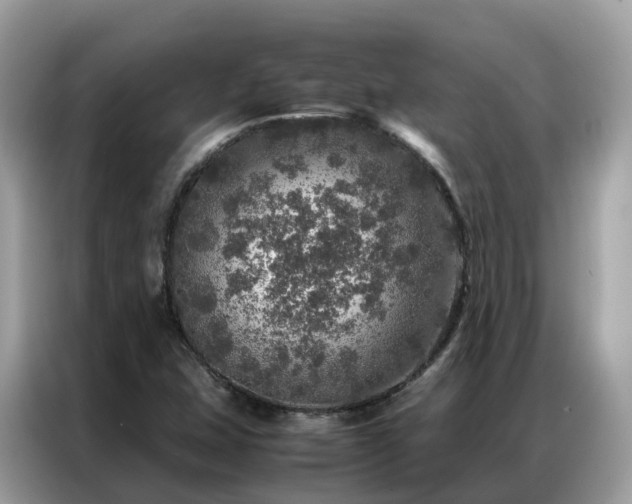 X0000087371407200704271447
