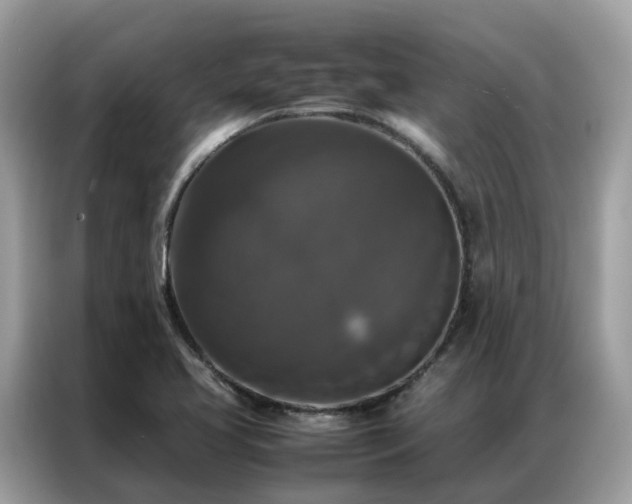 X0000087371413200704271447